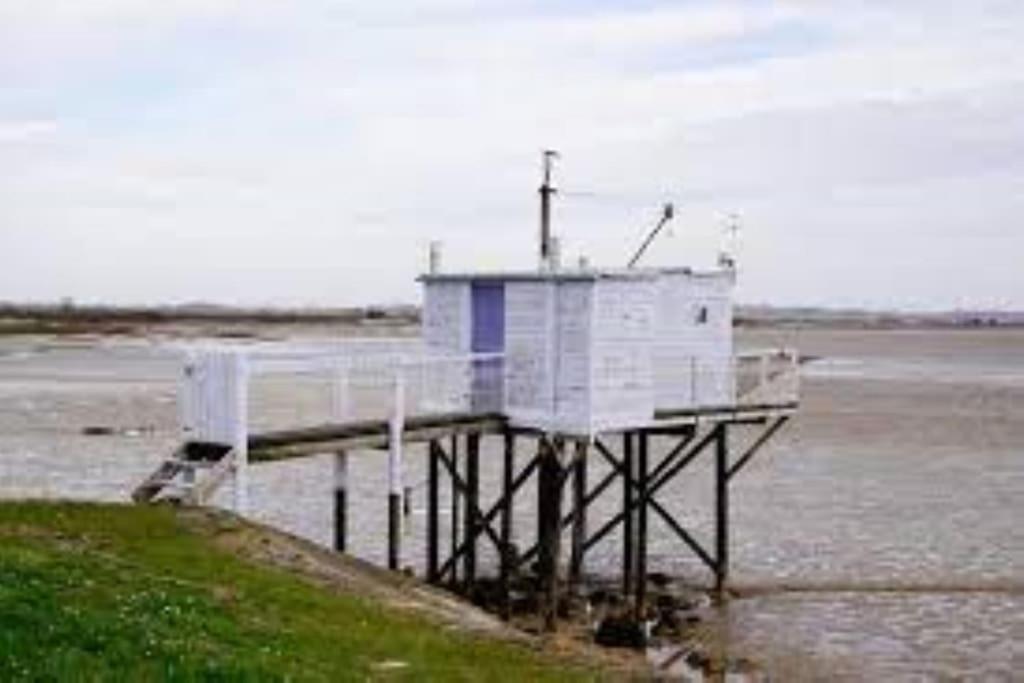 Maison Au Coeur Des Vignes Cussac-Fort-Medoc Zewnętrze zdjęcie